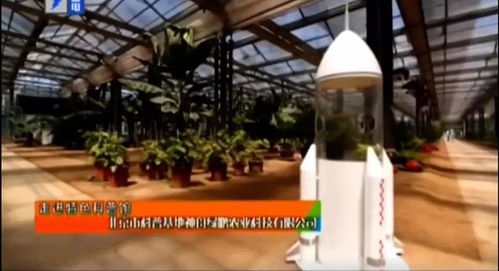 北京研學營 故宮600年歷史與果蔬種植實踐體驗